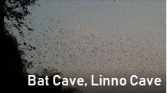 hpa-an bat caveALinno Cave, Hpa-anApa-an